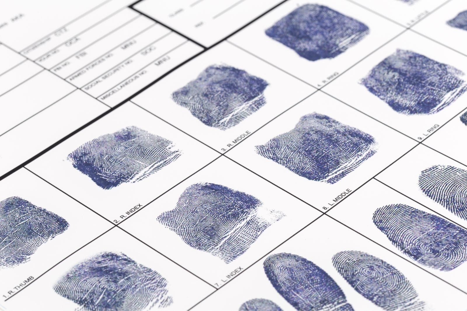 fingerprint card with fingerprints